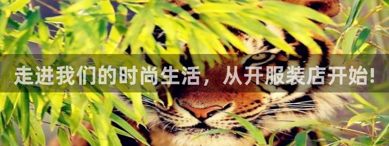 华润娱乐何122222
