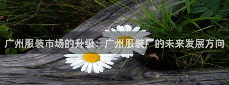 华润娱乐网92222