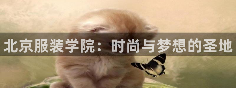 华润娱乐亮580583