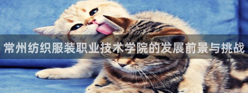华润娱乐后5指尖