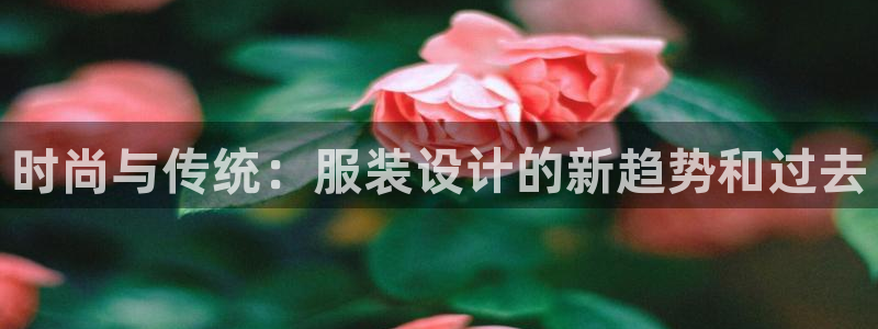 华润娱乐巾67五壹叁八