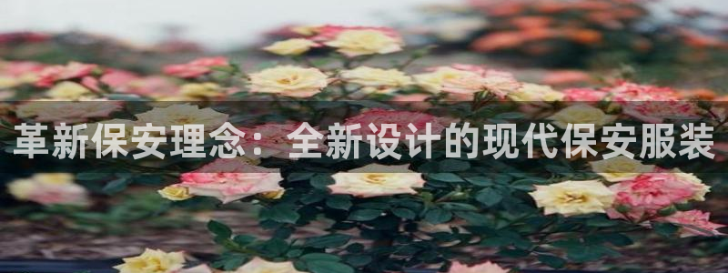 华润国际娱乐