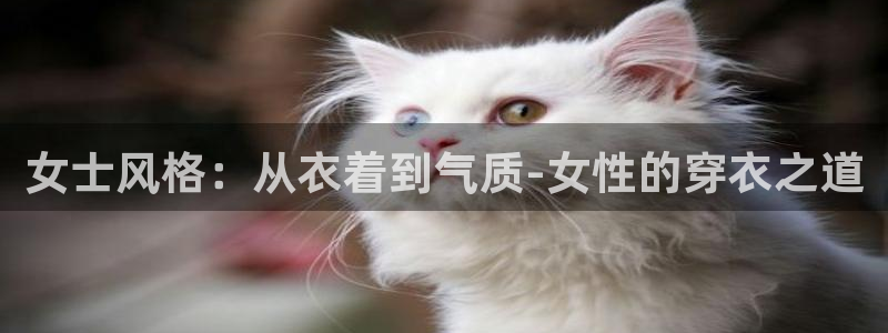 新会华润娱乐