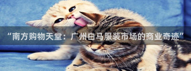 华润娱乐瓶122222
