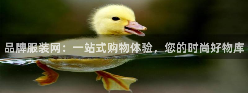华润娱乐贡122222