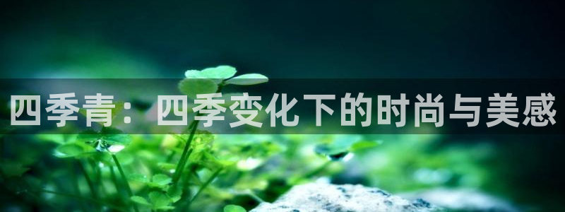 华润娱乐a3指尖