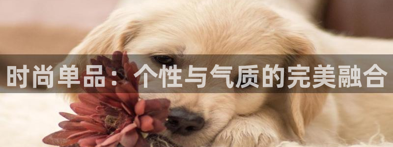 华润娱乐城92222