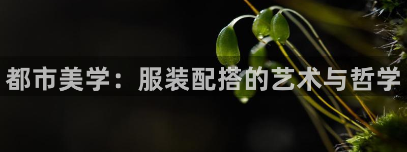 华润娱乐掖92222