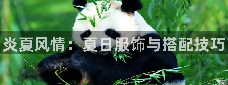 华润娱乐app下载