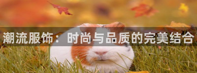 华润娱乐贡92222