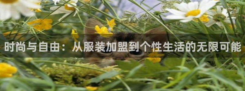 华润娱乐亮580583