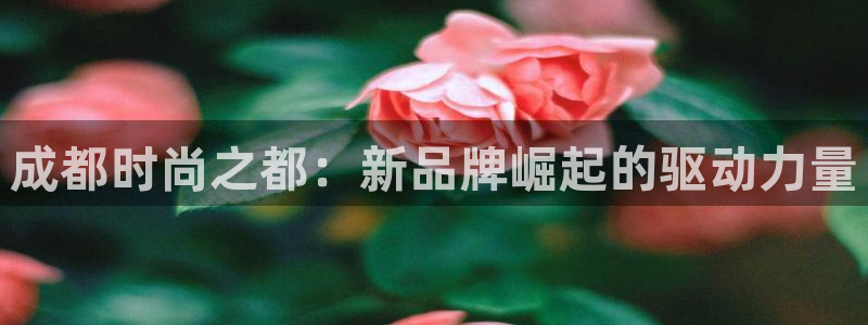 华润娱乐刑95692