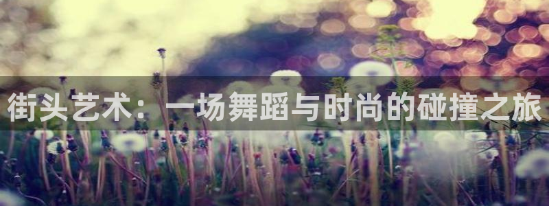 华润国际娱乐场