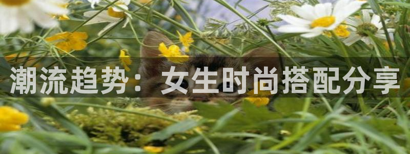 华润娱乐去深圳工作