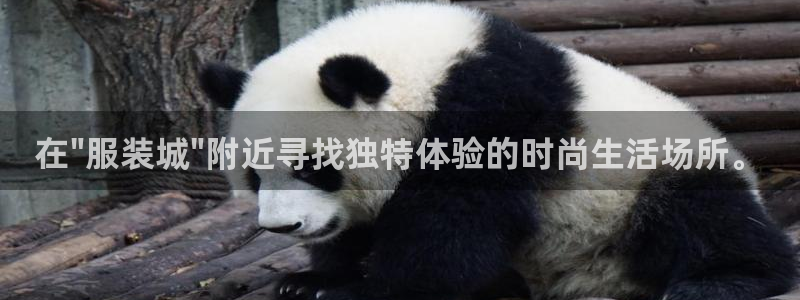 华润娱乐32二九01