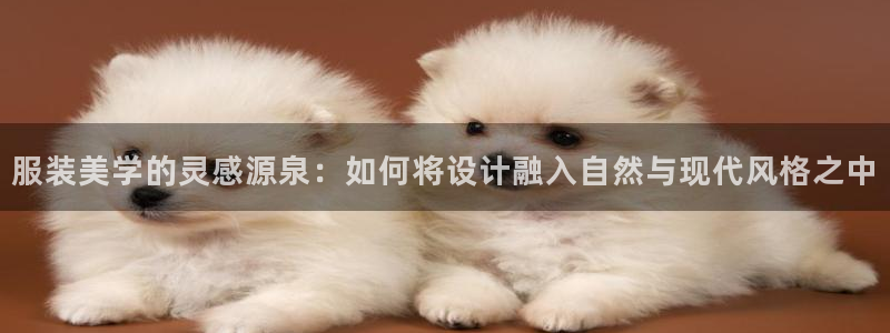 华润娱乐拭92222